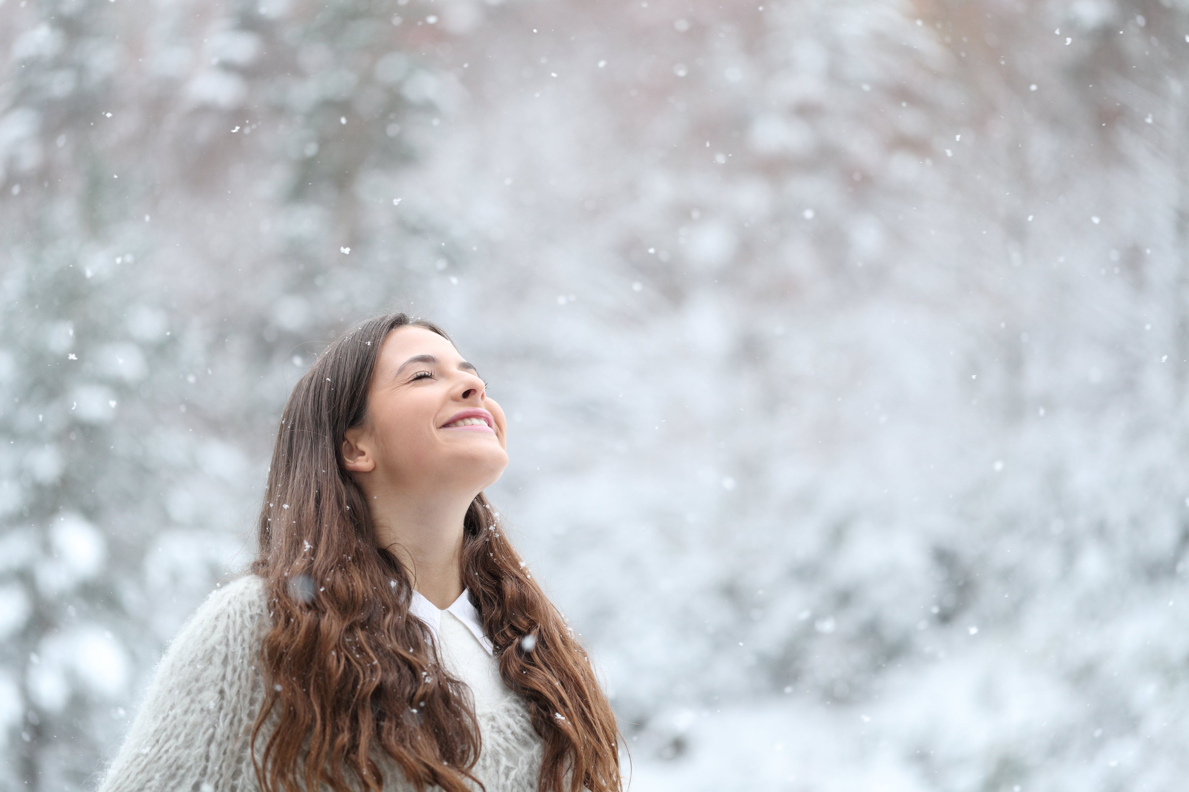 Sélection Hiver — Confort & Protection