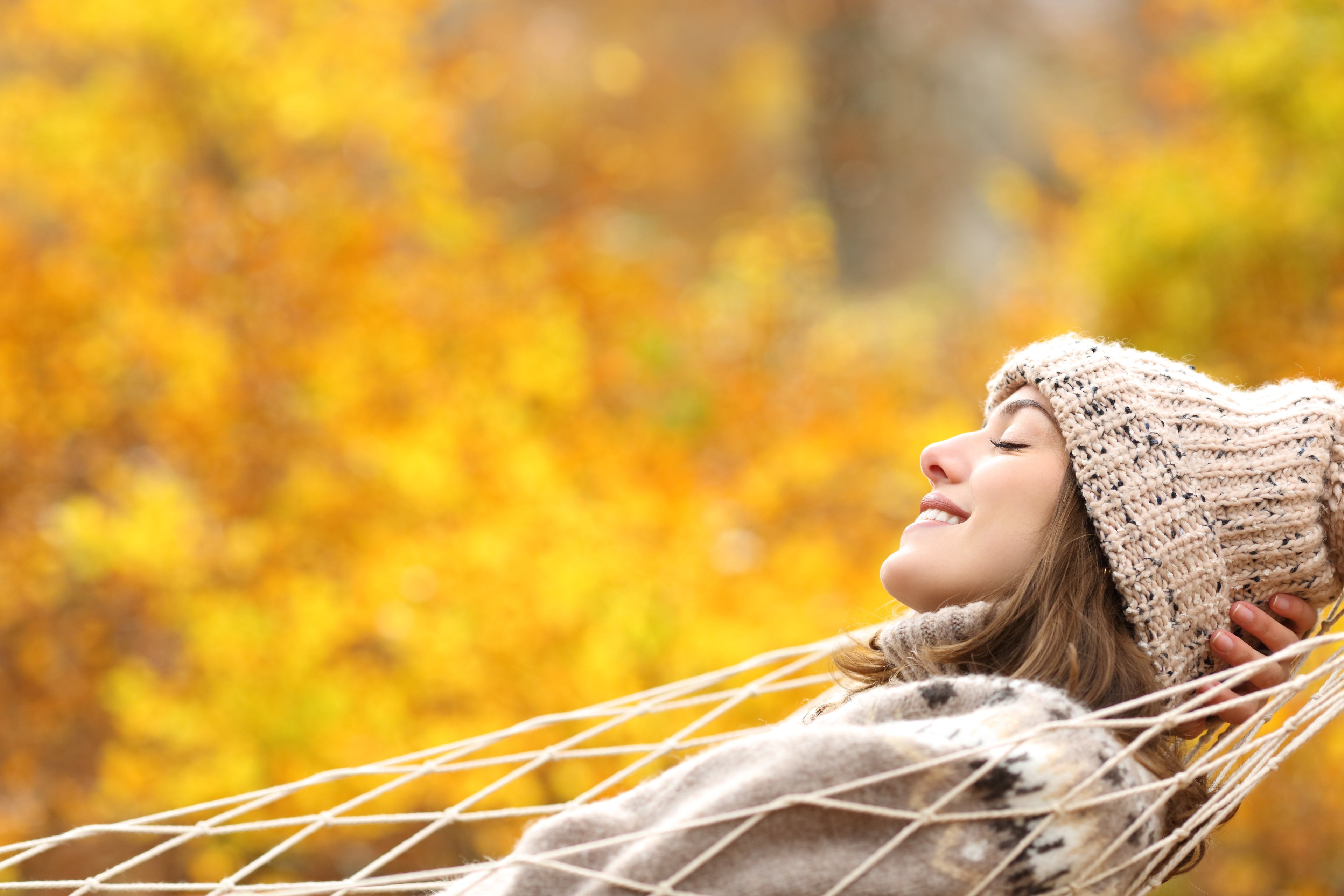 Sélection Automne — Réparation & Transition